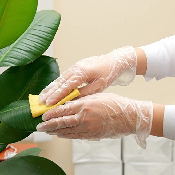 thumbnail image 2 of TNG Worldwide Medium Disposable Vinyl Gloves - Powder & Latex Free, Food Safe - 100 Count Clear 2 of 4