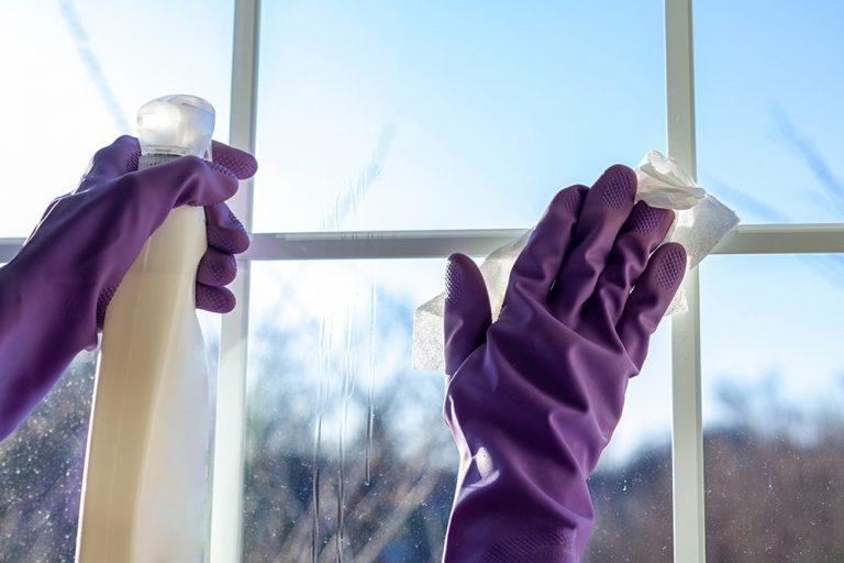 Check Out the Best Disposable Gloves for the Jan/San Industry